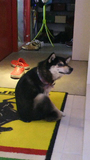 2012010819560000.jpg