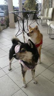 2012011205380000.jpg