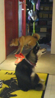 2012011205380002.jpg
