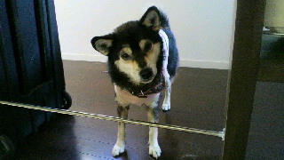 2012011308210000.jpg