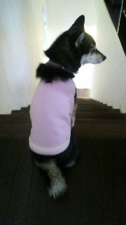 2012011308210001.jpg