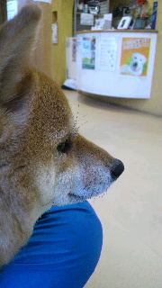 2012011409300001.jpg