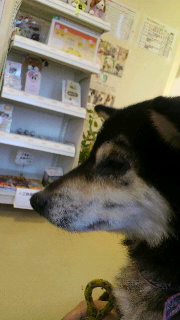 2012011409420001.jpg
