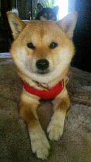2012011419450000.jpg