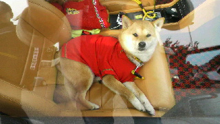 2012011518460001.jpg
