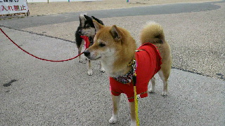 2012012008190002.jpg