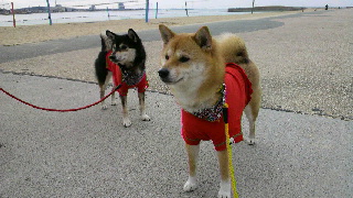 2012012008200000.jpg