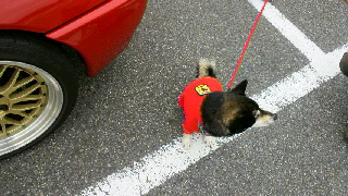 2012012008200001.jpg
