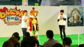 2012012115490000.jpg