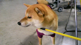 2012012209240000.jpg