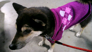 2012012209270000.jpg