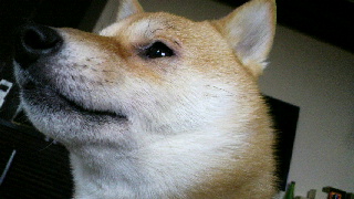 2012012216440000.jpg