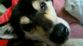 2012012216440001.jpg