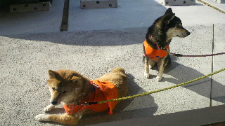 2012012910030001.jpg