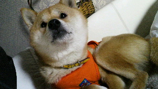 2012020122510000.jpg