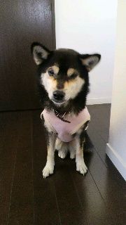 2012020122510001.jpg
