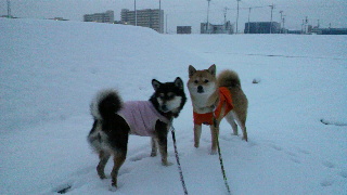 2012020206350000.jpg