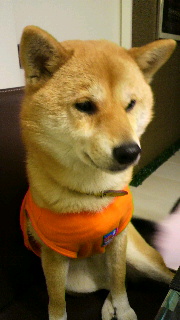 2012020207430000.jpg