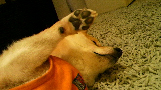 2012020207430001.jpg