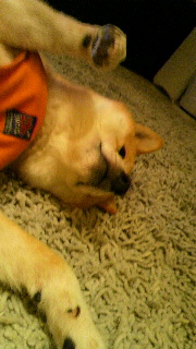 2012020207430002.jpg