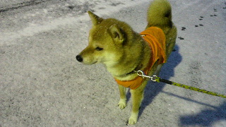 2012020222050001.jpg