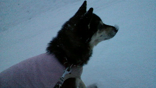 2012020222060000.jpg