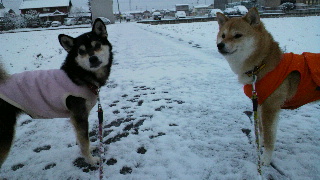 2012020222060001.jpg