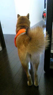 2012020416510001.jpg