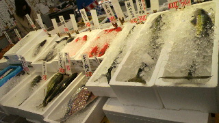 2012020509420000.jpg