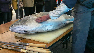2012020509550000.jpg