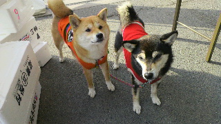 2012020509550002.jpg
