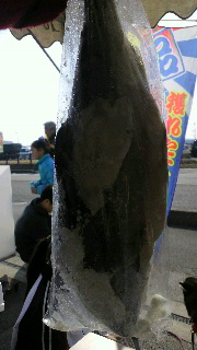2012020510150000.jpg