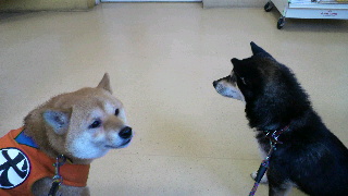2012020515070000.jpg