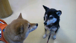 2012020515070001.jpg