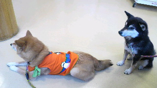 2012020515070002.jpg