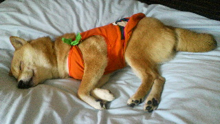 2012020605280000.jpg