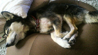 2012020605280001.jpg