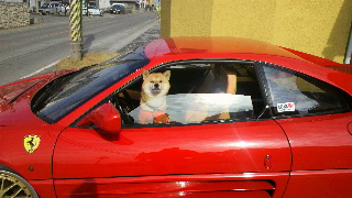 2012020718190000.jpg