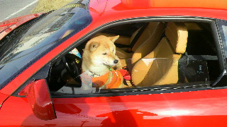 2012020718190001.jpg
