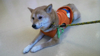2012020804130000.jpg