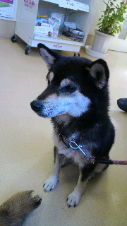 2012020804140000.jpg