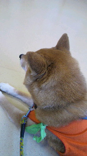 2012020804140001.jpg