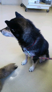 2012020804140002.jpg