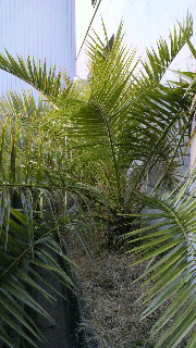 2012020822110000.jpg