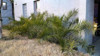 2012020822120000.jpg
