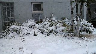 2012020822120001.jpg