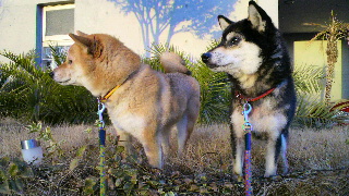 2012020907280000.jpg