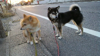 2012021009420001.jpg