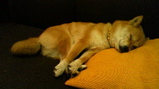2012021121380000.jpg