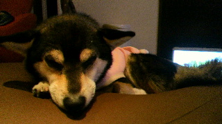 2012021121380001.jpg